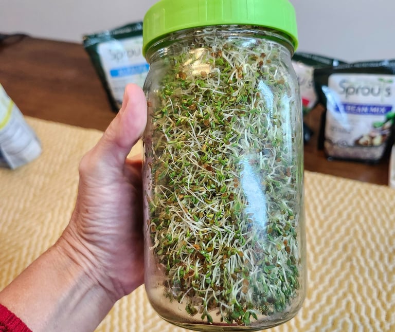 Jar of sprout, illustrating beginner-friendly home sprouting techniques.