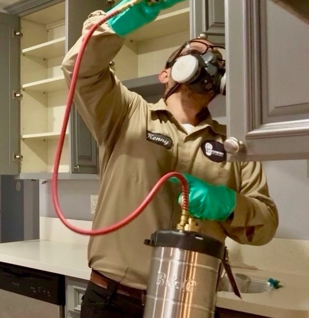 Exterminator on a Cockroach Treatment, inside a kitchen, in Menifee, Footprint Pest Management pest control near me