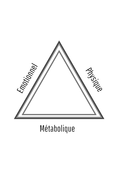 un triangle avec trois mots autour : "Emotionnel" "Physique" "Métabolique" pour illustrer les stress