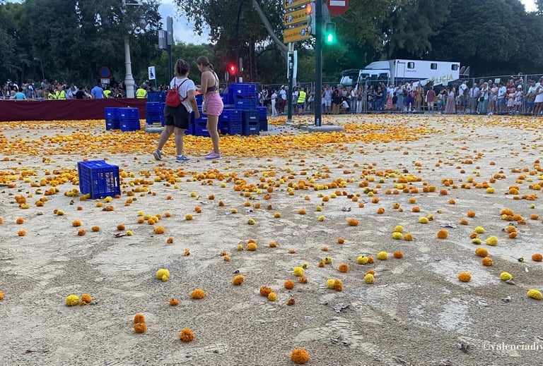Final de la batalla de las flores, suelo lleno de claveles.