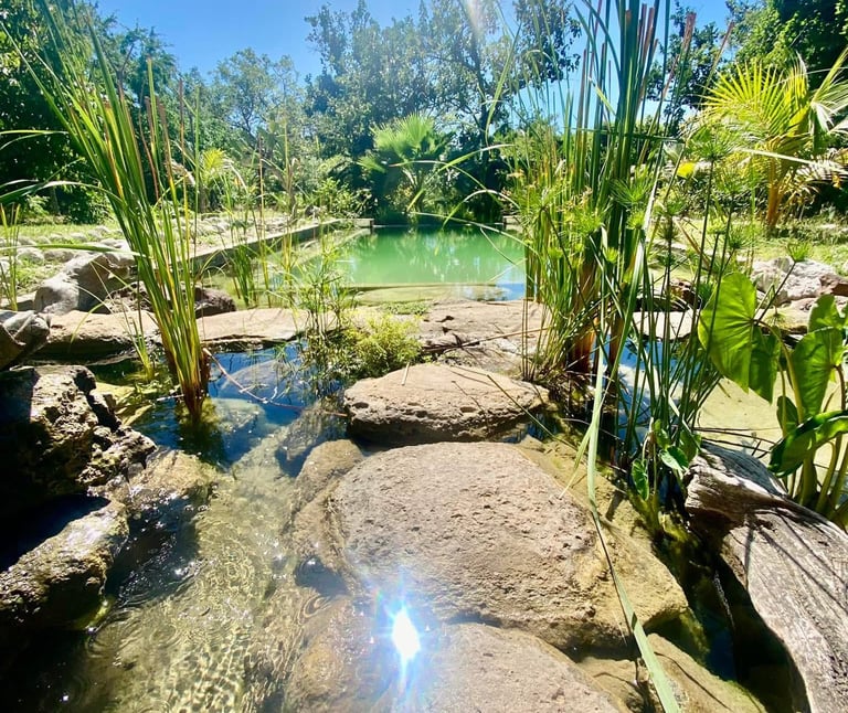 piscine naturelle