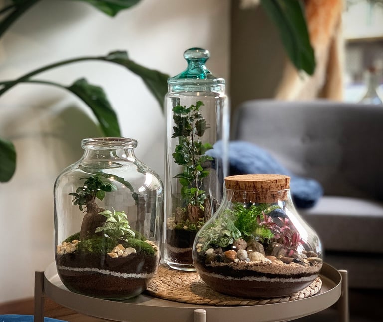 une table avec un pot en verre contenant des plantes et une bouteille d'eau