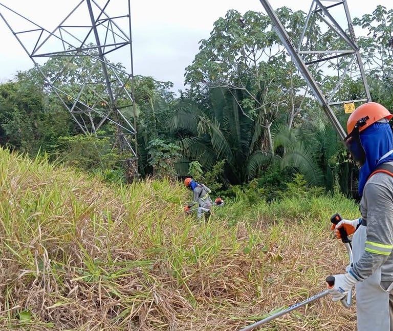 Roçadeira Costal em  linha de transmissão