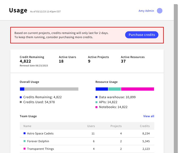 UI displaying the number of credits being used across an organization