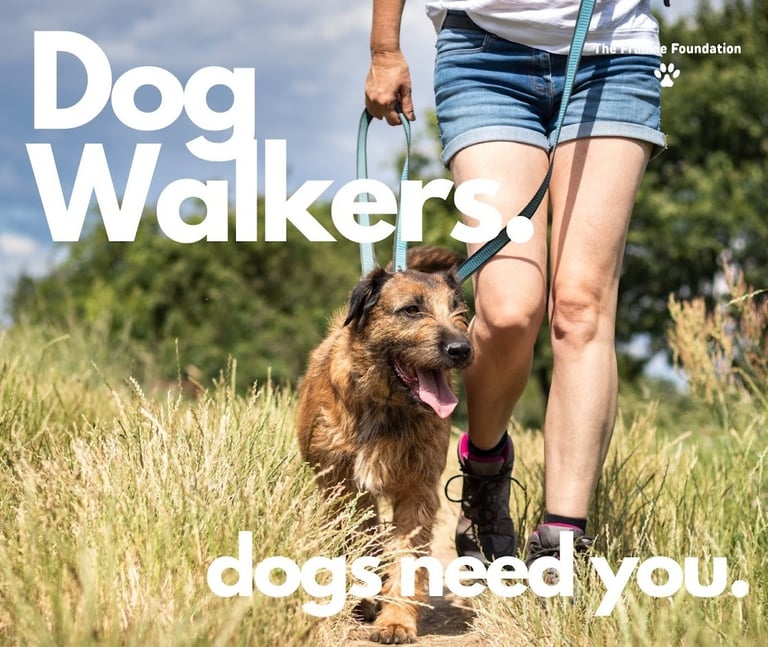 a dog walkers walking a dog on a leash