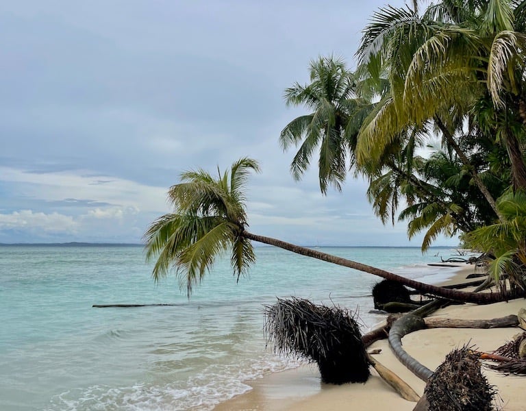 Panama Cayo Zapatilla Karaibik Bocas del Toro