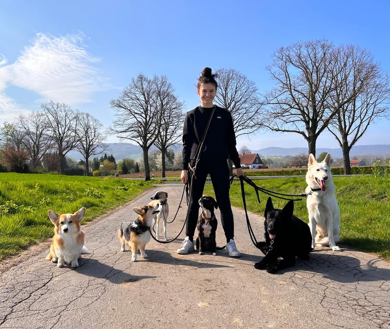 Hundeschule Resistencedog beim Dogwallk mit 6 Hunden