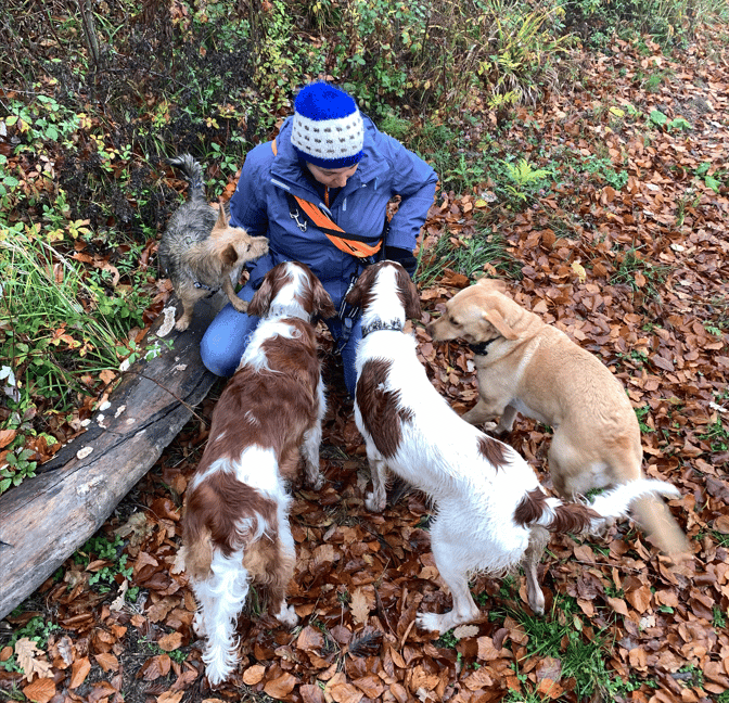 Spaziergang im Wald