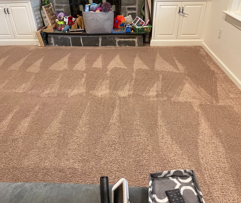 dry organic carpet cleaning Philadelphia,  king of Prussia