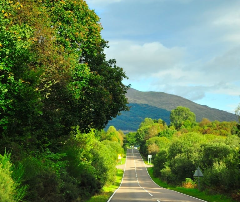 a road with a trees on each side