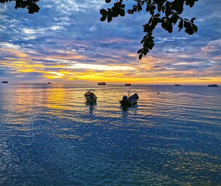 Amidays demande en mariage à Koh tao 