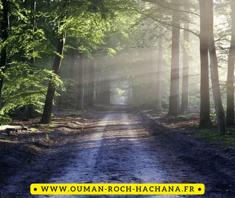 Génération Breslev- www.ouman-roch-hachana.fr