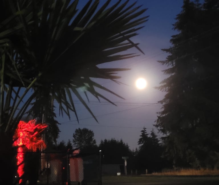 full moon