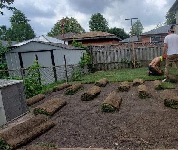 sodding job in progress