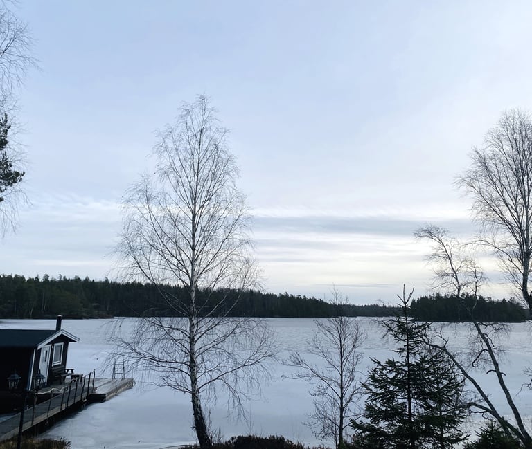 Archipelag Sztokholm zimą i sauna