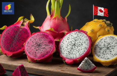 Vietnamese dragon fruit exported to the Canadian market
