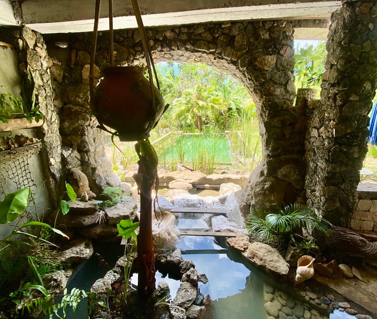 piscine naturelle