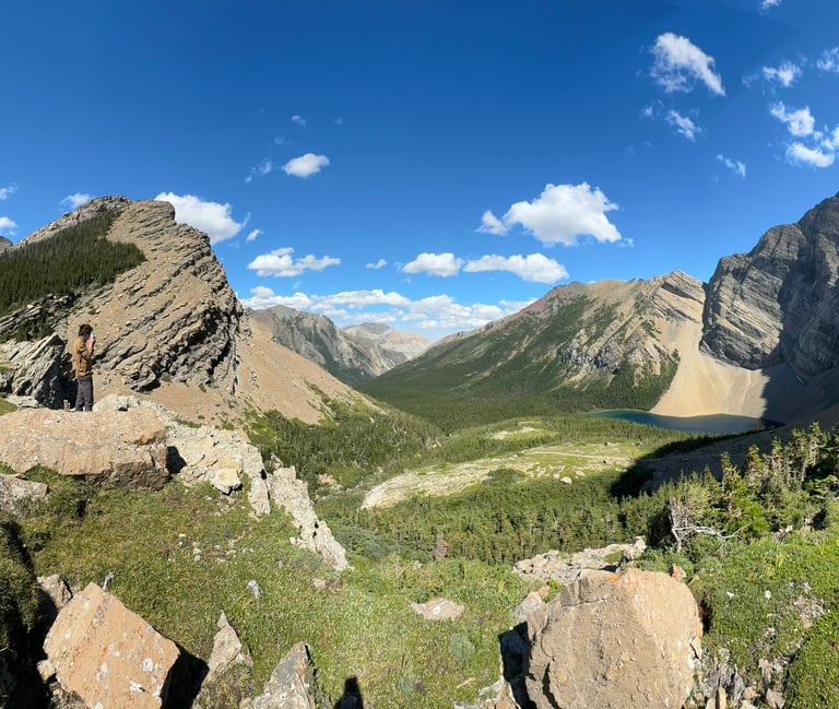Carthew Alderson look out, waterton park