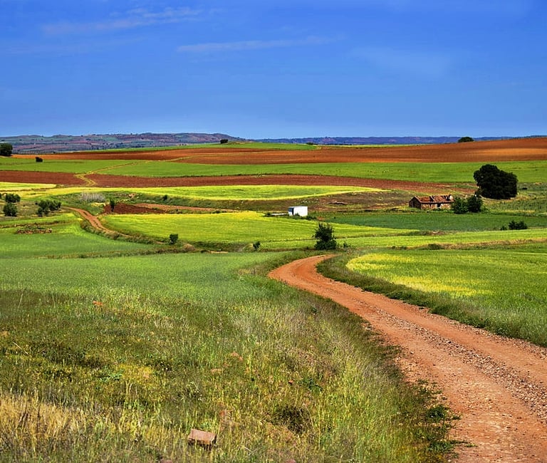 Casa rural San Carlos del Valle