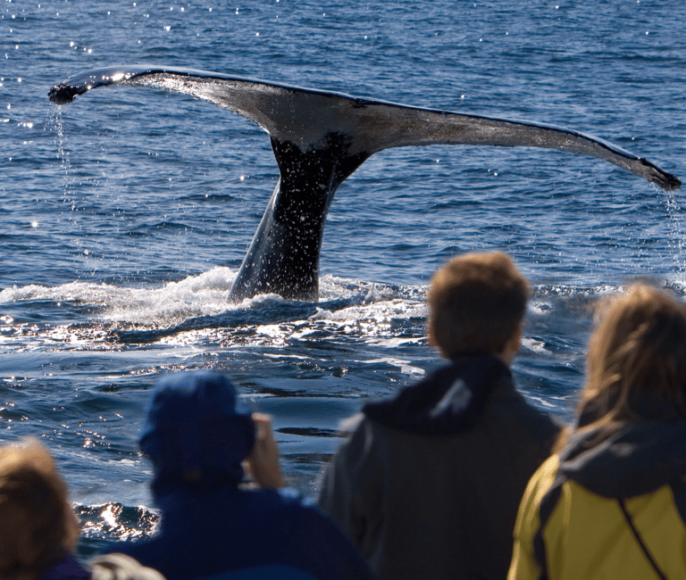 Qué puedo hacer con una visa de visita a Canadá?