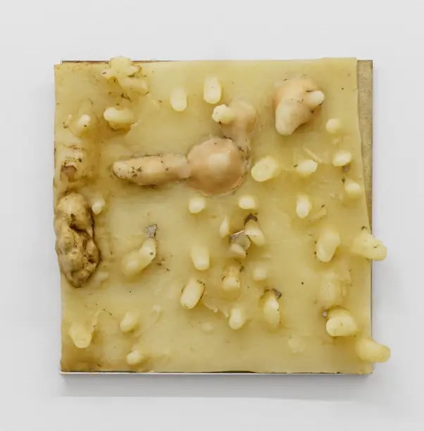 Carlito Carvalhosa, Sem título (P04 92), 1992, Cera, gesso, argila e pigmento sobre tela