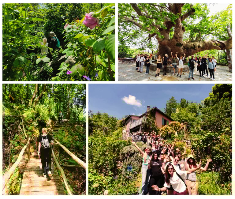 erasmus students at Tsagkarada herbal walk and visit to Dorris Serpentine garden
