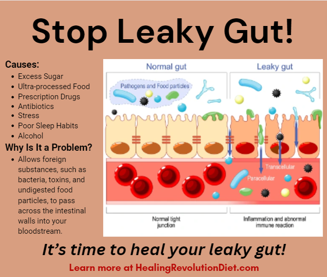 leaky gut meme