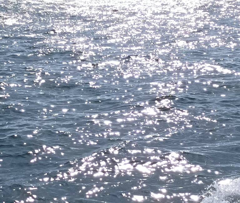 Sunshine on the waves