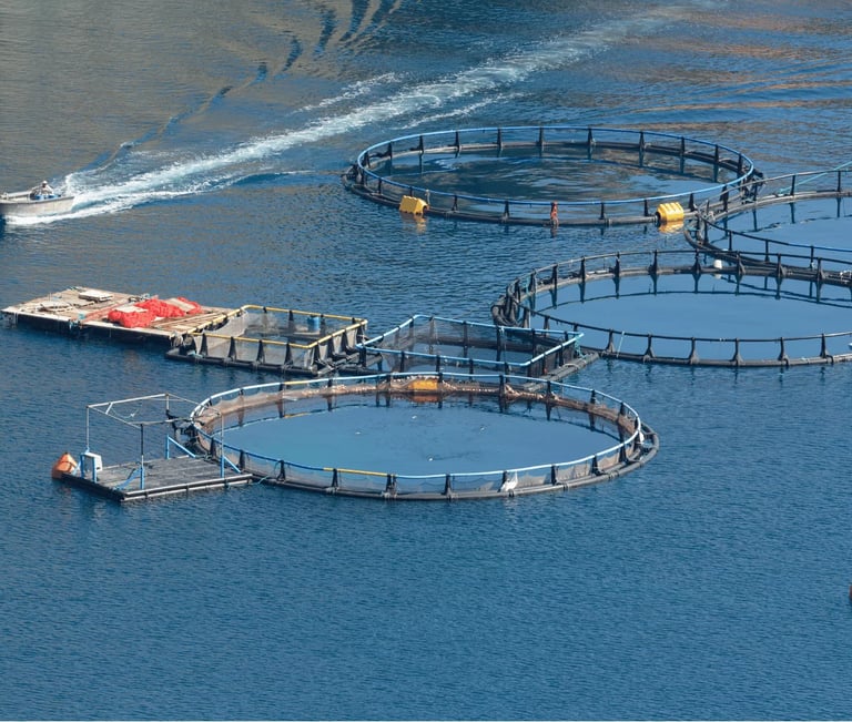 sustainable crab farming