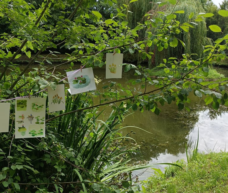 journee-aquarelle-pleine-nature-reims.jpg