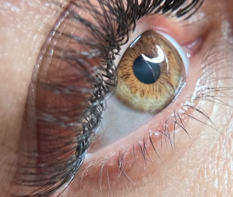 Lashes in Elig Beauty Salon by Daylin.