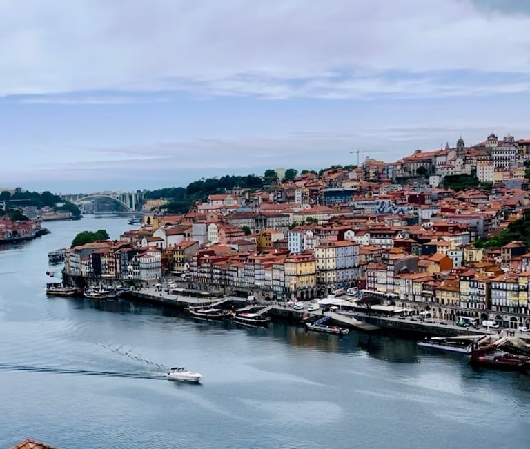 rooftop with the best views of Porto