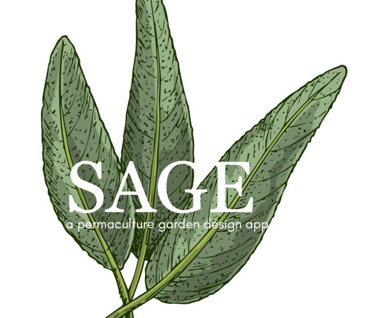 A logo for our garden planning app, Sage; hand drawn sage. 