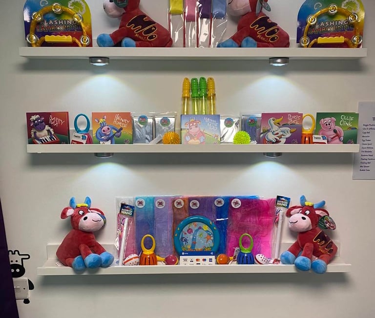 A picture of all the instruments and sensory toys on shelves in the moo room ready to purchase.
