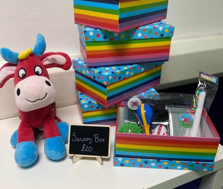 A picture of sensory boxes in the Moo room, with the price stating £20.