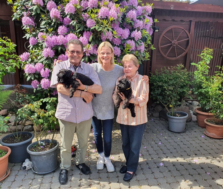 Eleveur avec des chiots Schnauzer dans un jardin