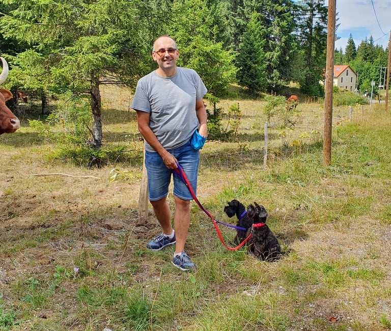 2 Schnauzers en promenade avec leur maitre