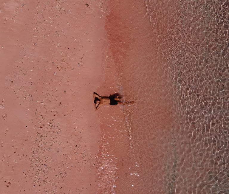 a dog is laying on the beach near the water