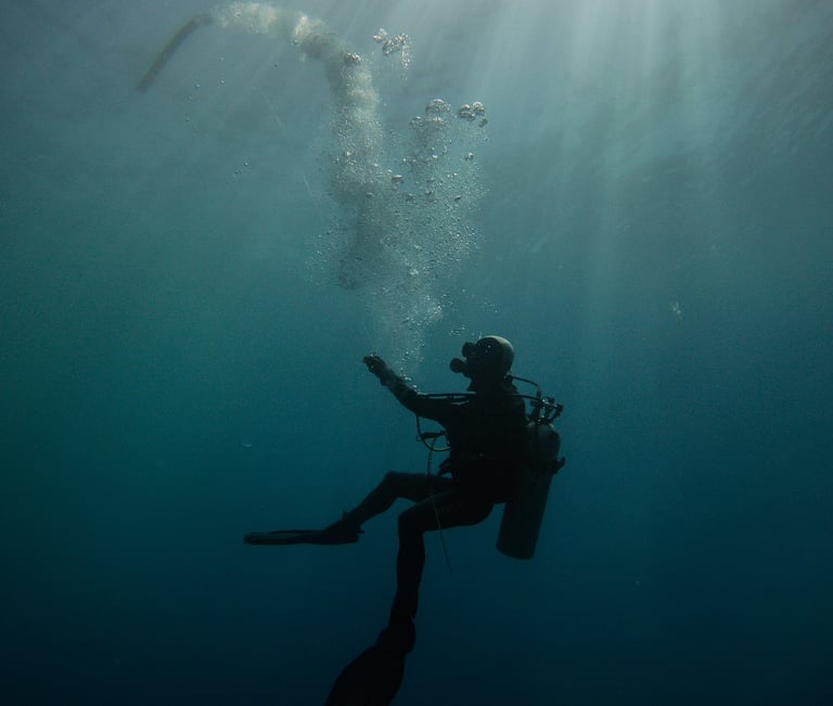 a person in a wetsuit is swimming in the water