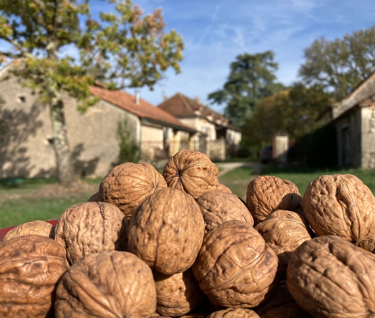 Biscuiterie de l'Apothicaire à Concots dans le Lot