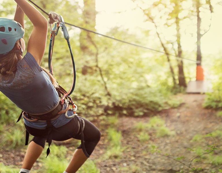 Carpegna Park, carrucola, natura, Boschi entroterra marchigiano