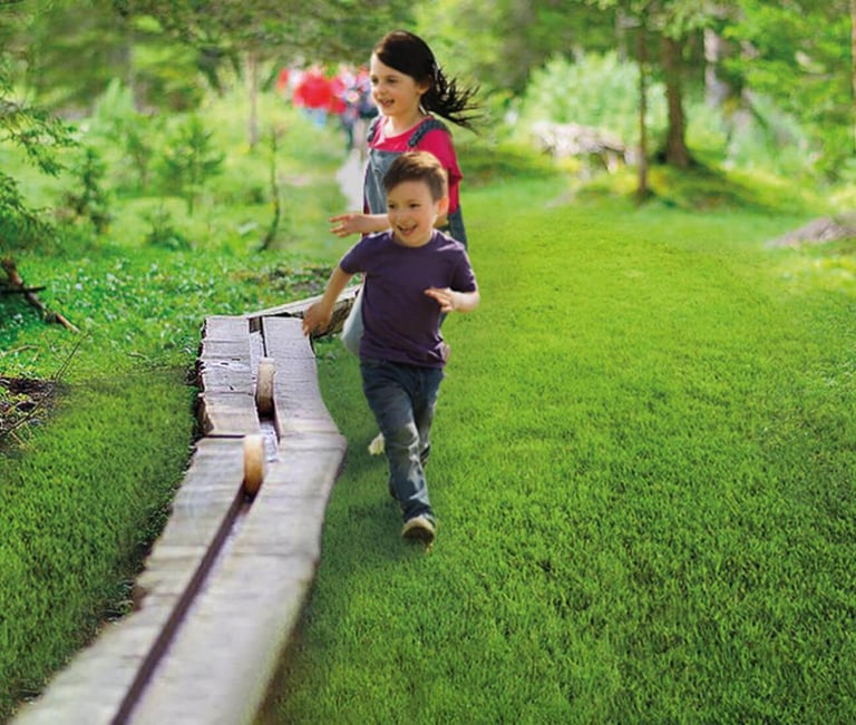 Percorso dischi, Carpegna park marche, entroterra marchigiano, parco tematico