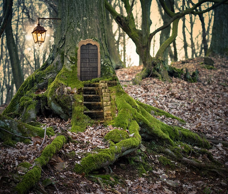 Bosco delle Fate, Carpegna Park, Carpegna, gichi per bambini, Bosco