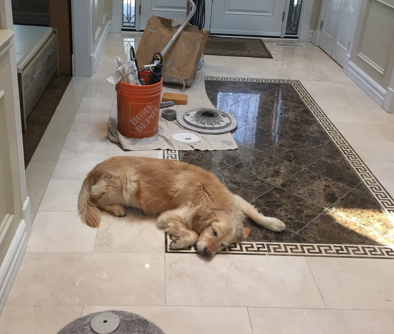 A dog napping after a hard day Marble Polishing