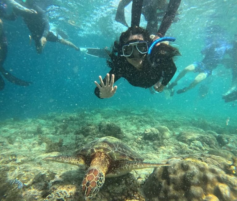 a person is swimming in the water with a turtle turtle