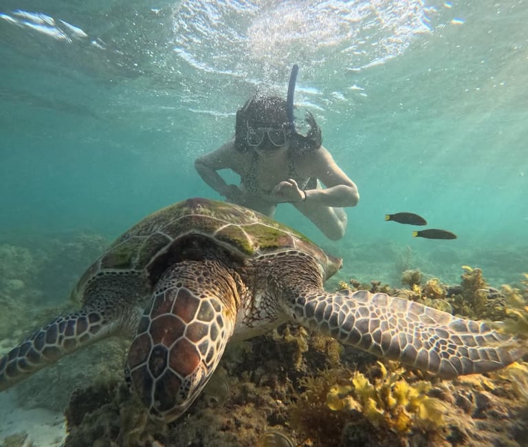 a man is swimming in the ocean with a turtle turtle