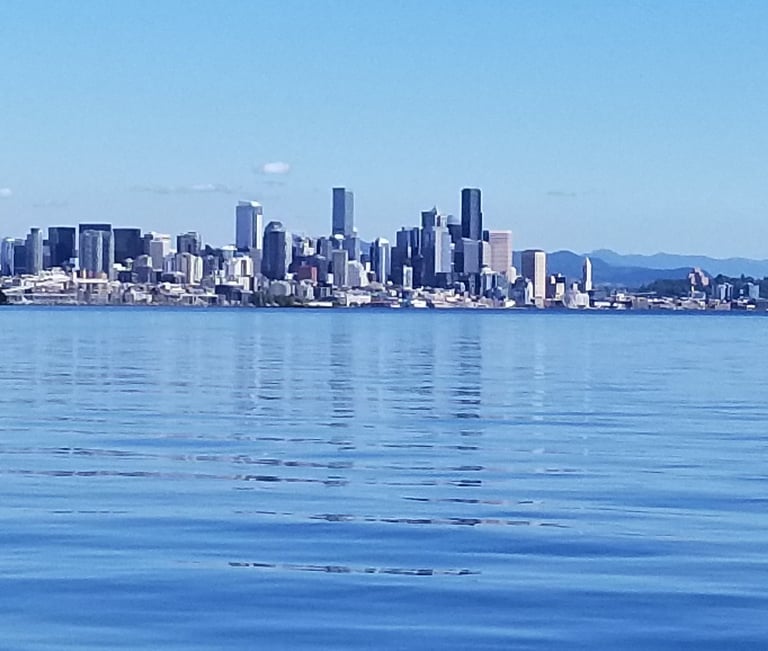 city skyline across the water