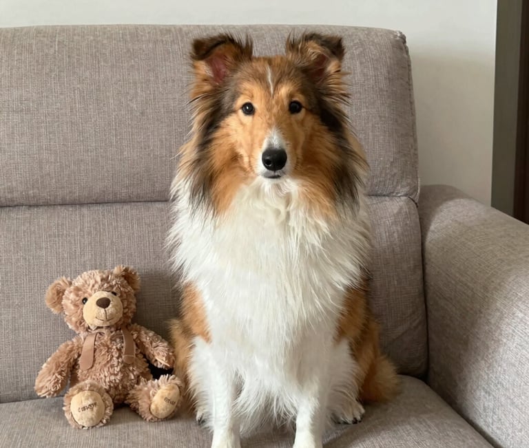 white and black abstract painting