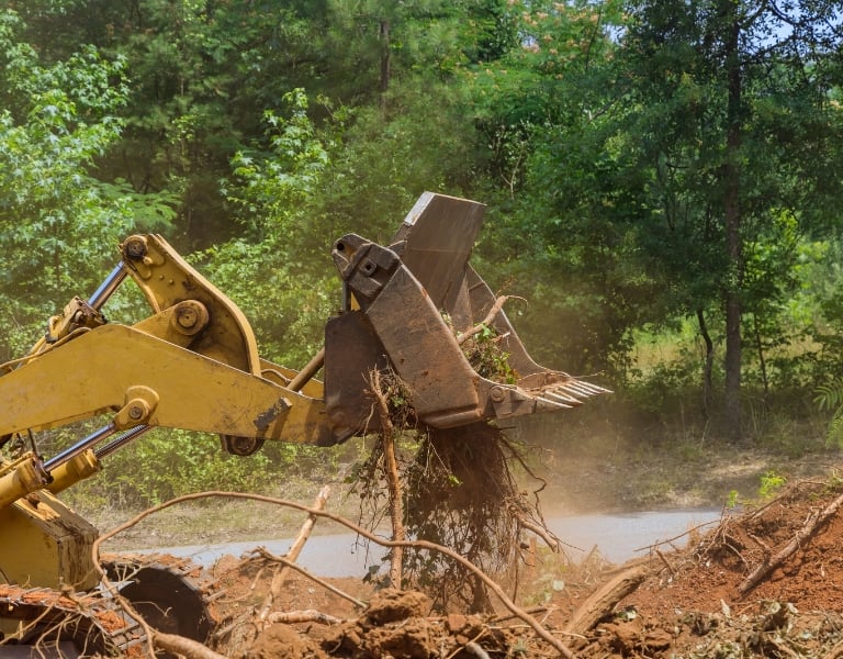 land clearing services in louisiana 