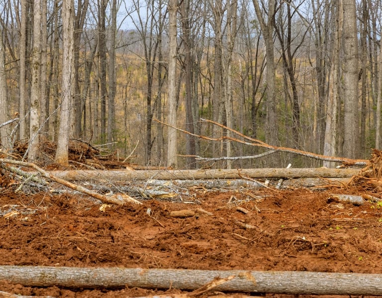 baton rouge land clearing services